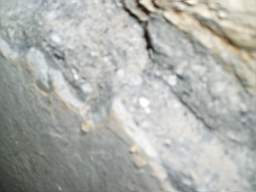 coolross 2680.jpg